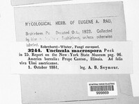 Image Associated With the Occurence